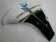 2008-2011 White CBR1000RR Motorcycle Fairings