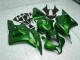 2009-2012 Green CBR600RR Motorcycle Fairings